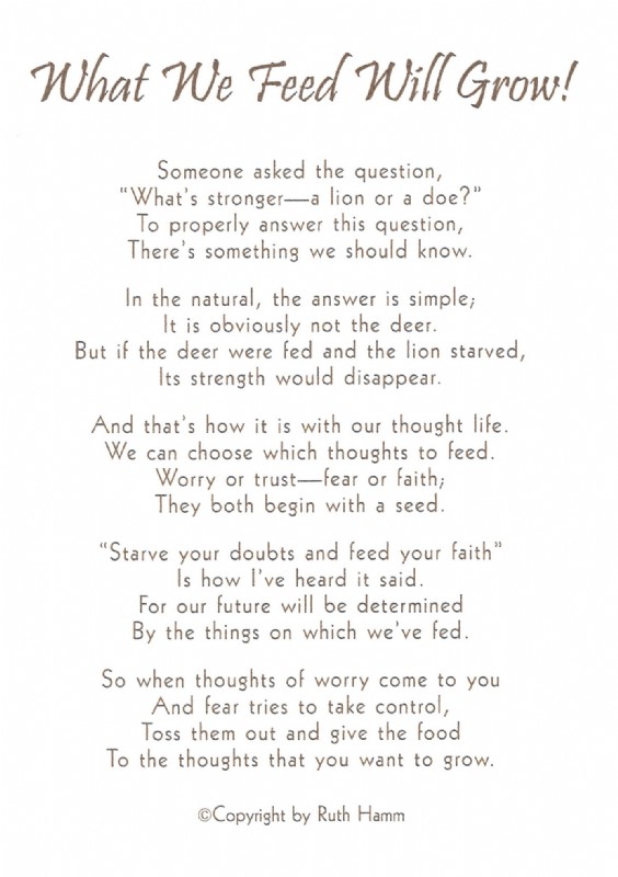 What We Feed Will Grow What We Feed Will Grow