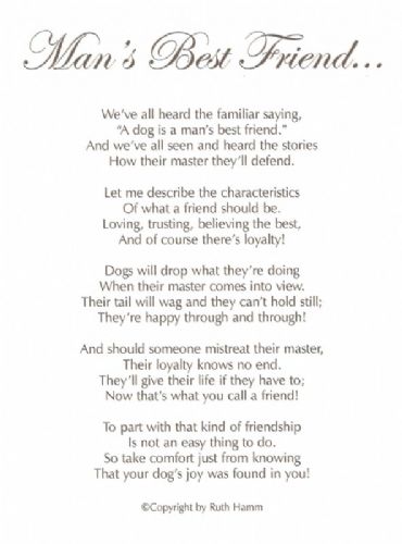 Man's Best Friend